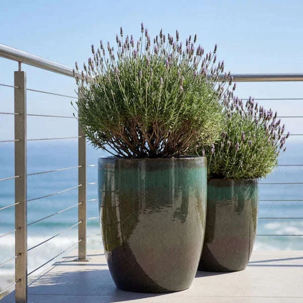 Pot MAZARIN2 57x70cm vert brumeux