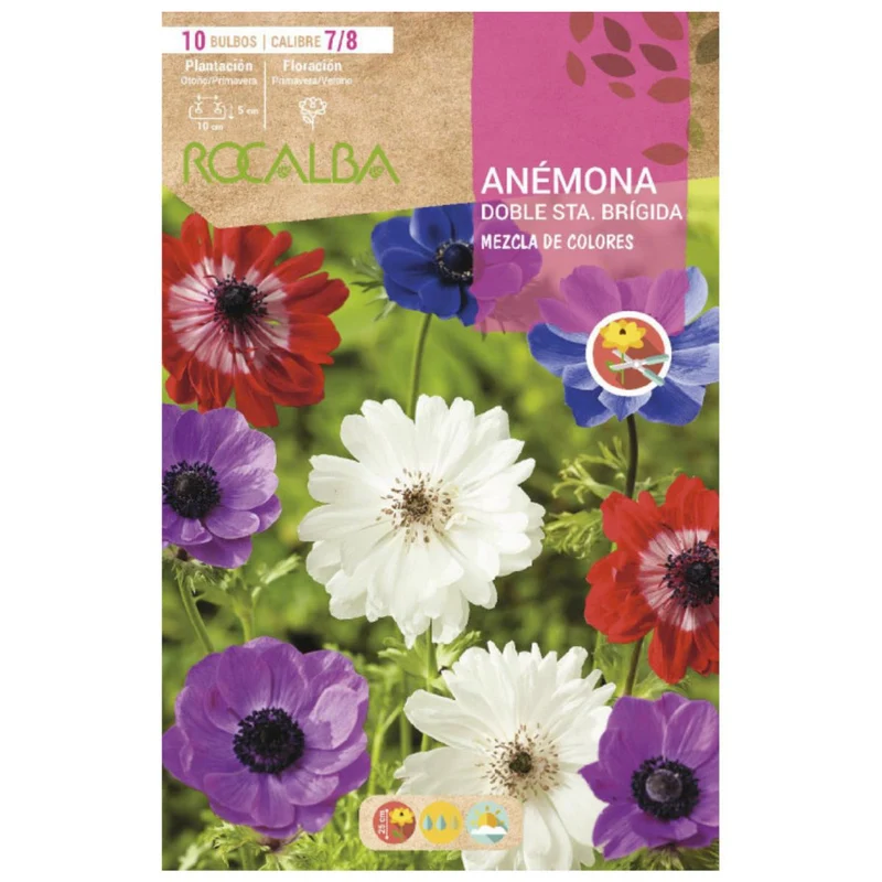 Bulbo Anémona doble Sta. Brígida mezcla 10 uds Rocalba