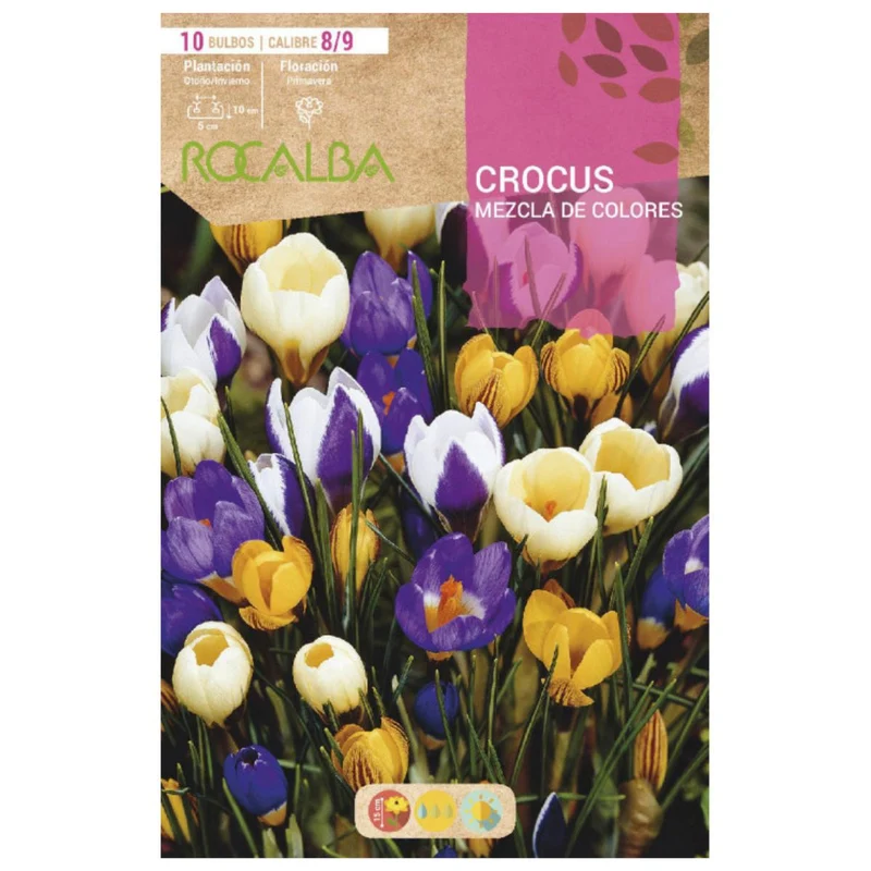 Bulbo Crocus mezcla 10 uds Rocalba
