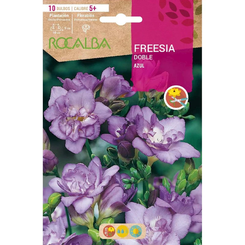 Bulbo Freesia doble azul 10 uds Rocalba