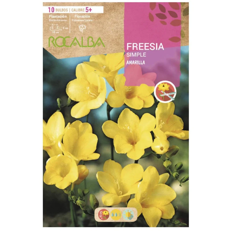 Bulbo Freesia simple amarillo 10 uds Rocalba