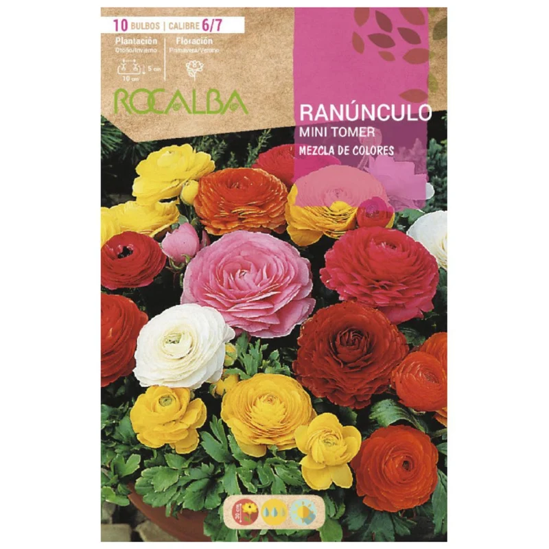 Bulbo Ranúnculo mini tomer mezcla 10 uds Rocalba