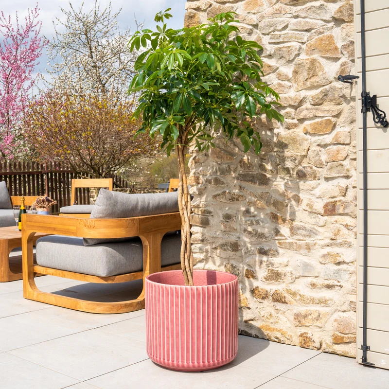 Pot LONDON 42x39cm Rose