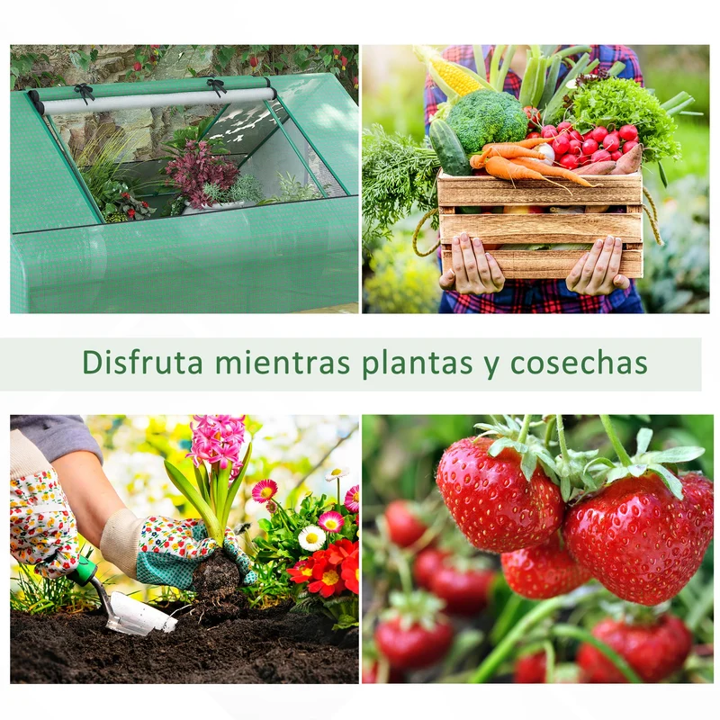 Outsunny Invernadero de Exterior, 180x140x80 cm, Invernadero Pequeño con 4 Ventanas Enrollables de Malla, Marco de Acero y Cubierta PE 140g/㎡ Anti-UV para Jardin, Cultivos, Plantas, Verde