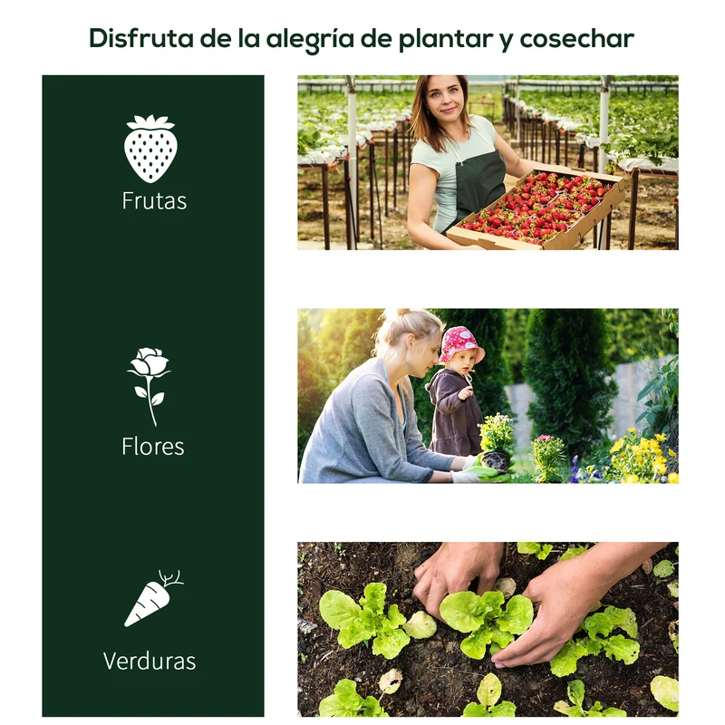 Outsunny Invernadero Caseta 250x100x80 Cm Para Jardín Terraza Cultivo De Plantas