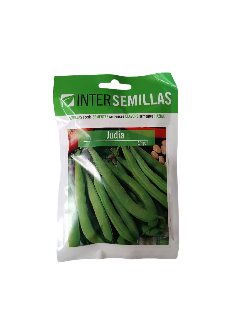 Semillas De Judia Variedad Lingot 100 Gr.
