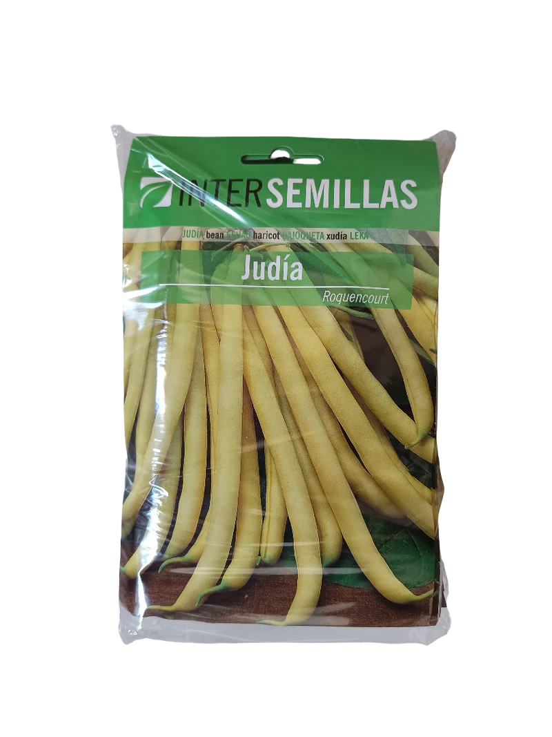 Semillas De Judia Roquencourt