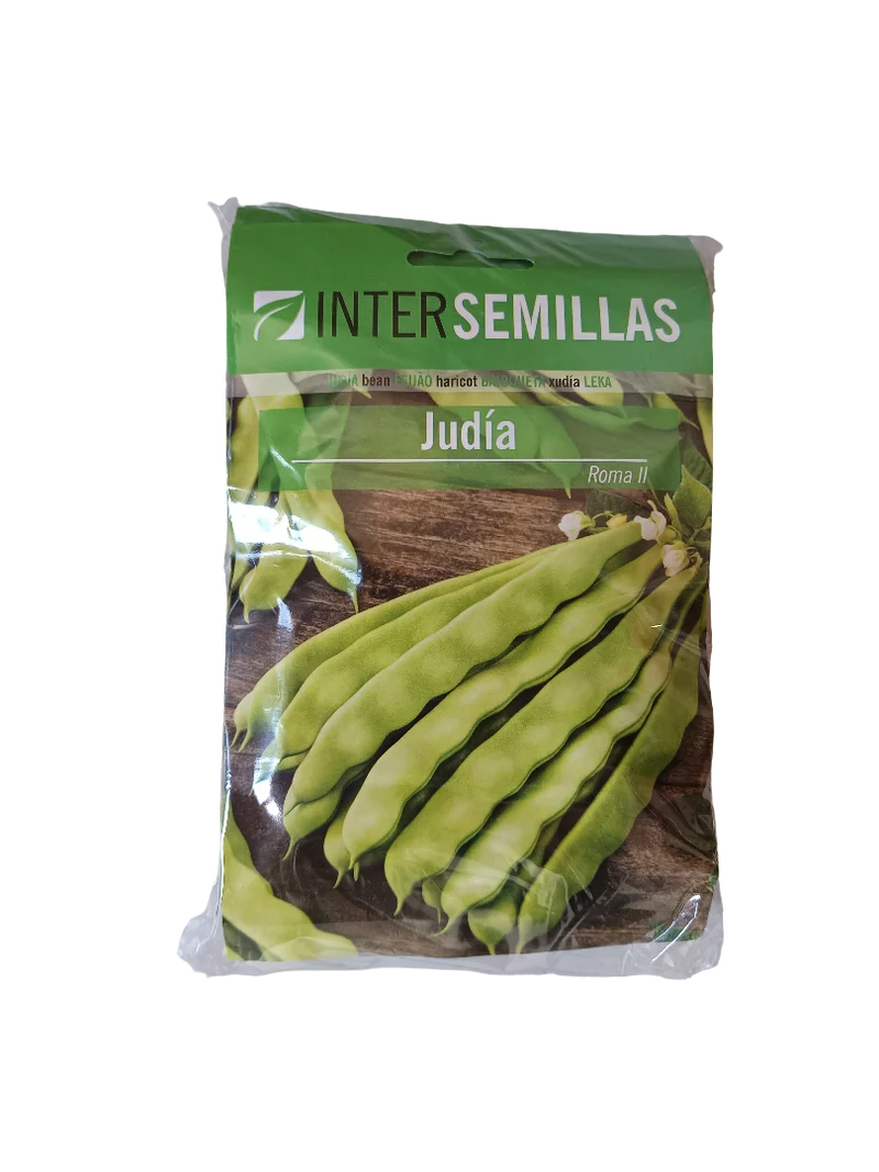 Semillas De Judia Roma Ii