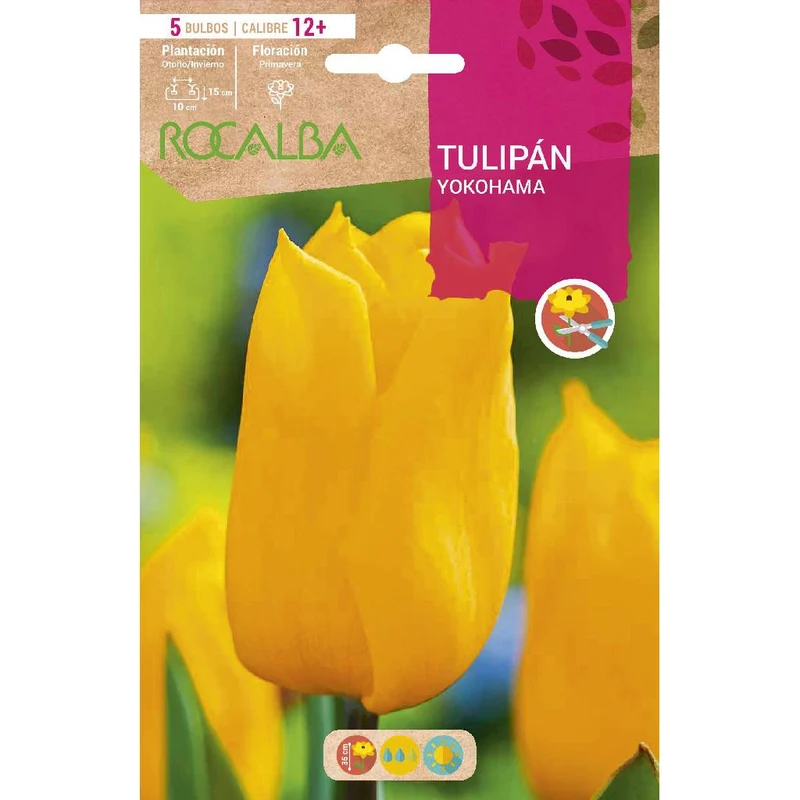 Bulbo Tulipán Yokohama amarillo 5 uds Rocalba