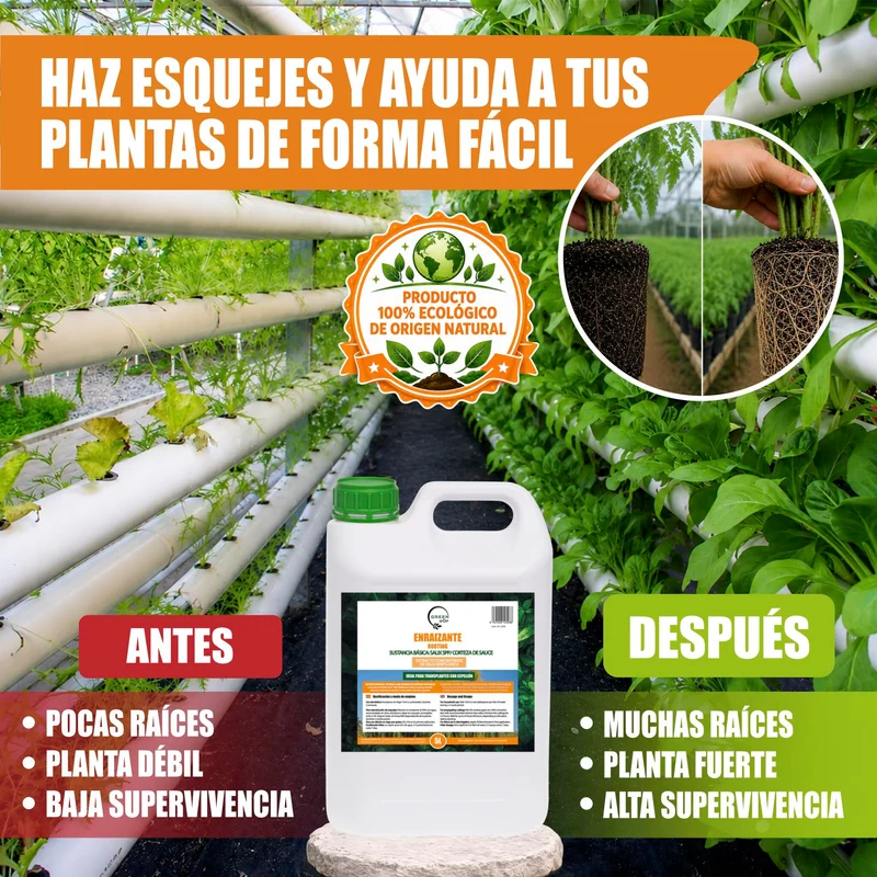 GREEN GOF Enraizante Líquido, 5L. Orgánico con Hormonas Naturales. Estimula y Aumenta el Crecimiento de Raíces.