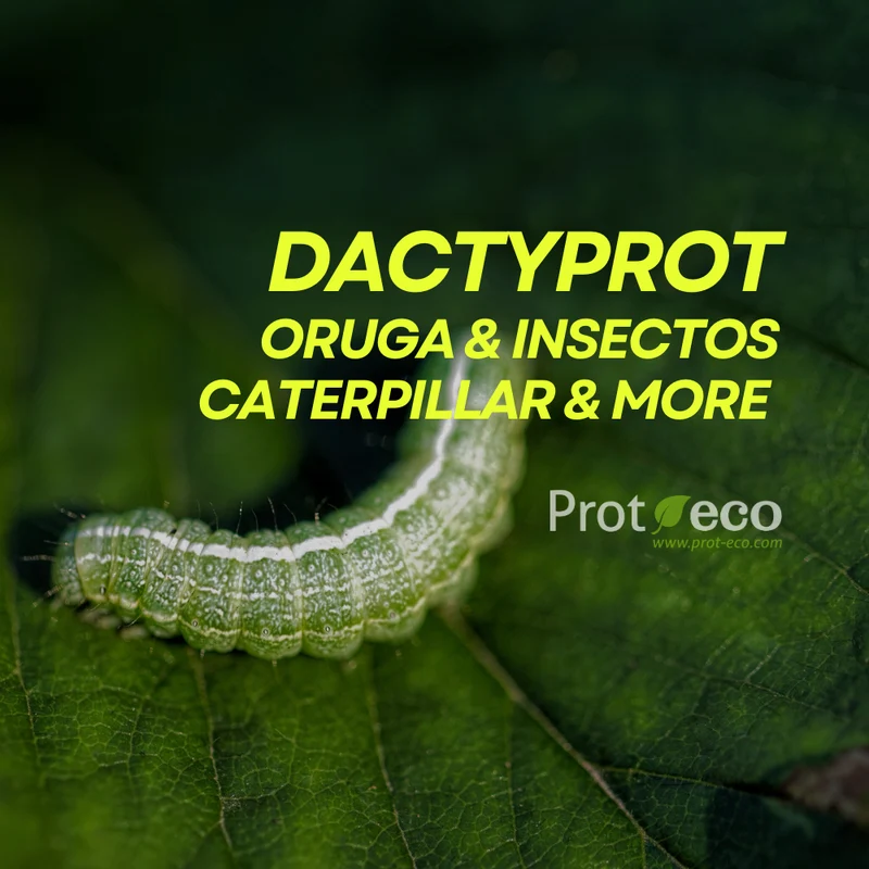 Dactyprot Prot-eco 100 Ml – Insecticida Ecológico Eficaz Contra Orugas, Cochinilla Y Otros Insectos