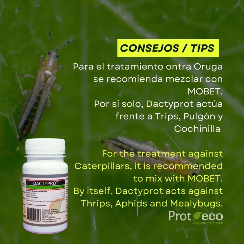Dactyprot Prot-eco 100 Ml – Insecticida Ecológico Eficaz Contra Orugas, Cochinilla Y Otros Insectos