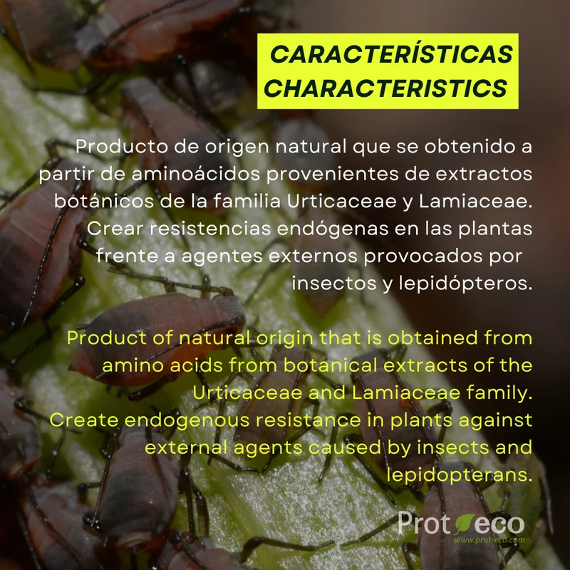 Dactyprot Prot-eco 100 Ml – Insecticida Ecológico Eficaz Contra Orugas, Cochinilla Y Otros Insectos