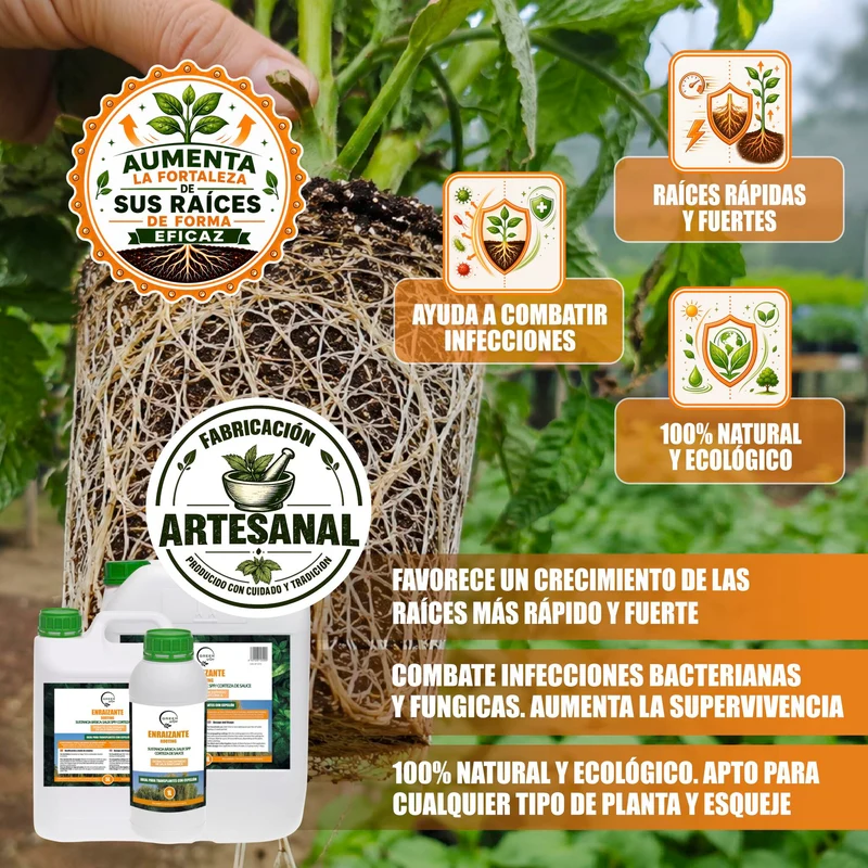 GREEN GOF Enraizante Líquido, 1L. Orgánico con Hormonas Naturales. Estimula y Aumenta el Crecimiento de Raíces.