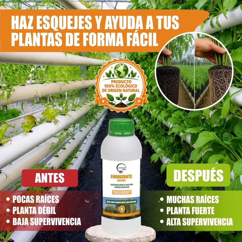 GREEN GOF Enraizante Líquido, 1L. Orgánico con Hormonas Naturales. Estimula y Aumenta el Crecimiento de Raíces.
