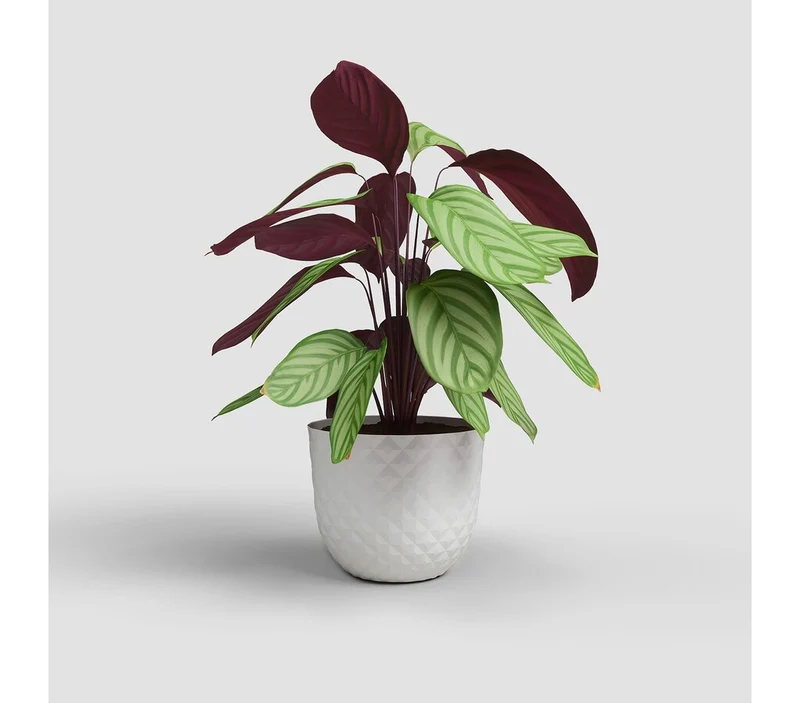 Artevasi Macetero Havana Tropical Blanco De Plástico Reciclado 50cm