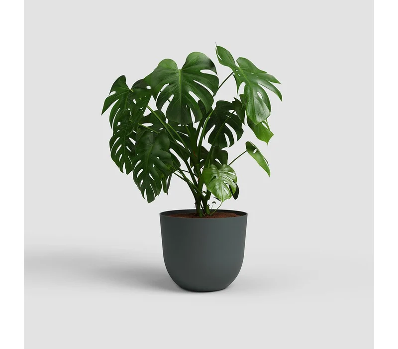 Artevasi Macetero Havana Natural Antracita 50cm