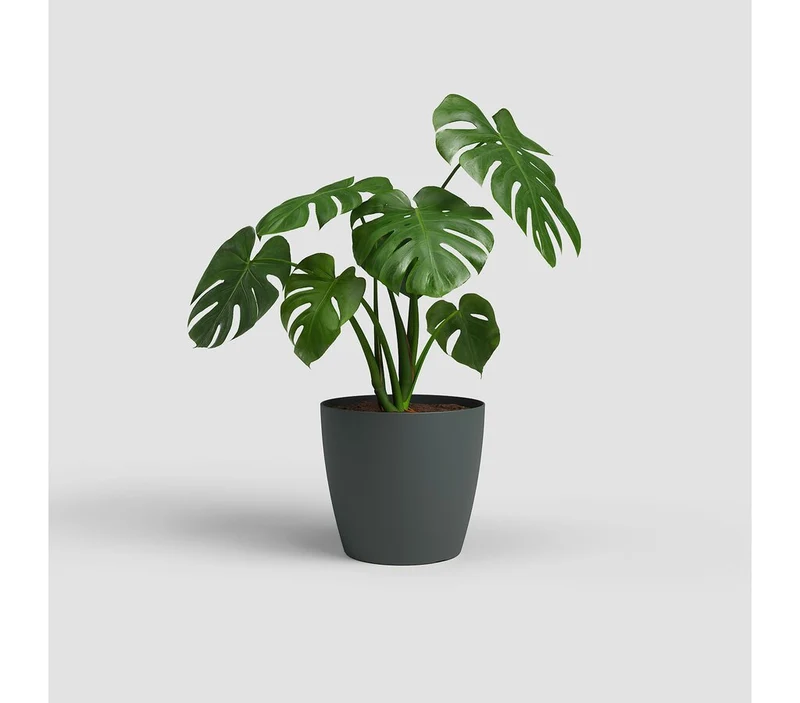 Artevasi Macetero Plastico Mate San Remo Antracita 36cm