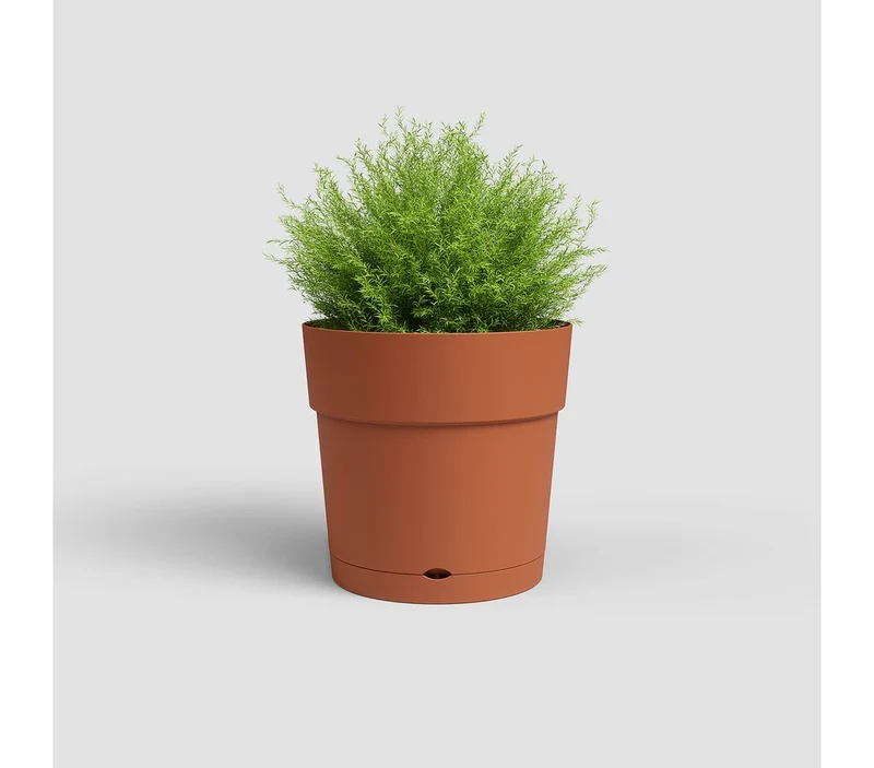 Artevasi Macetero Capri Con Reserva De Agua Terracota 20cm
