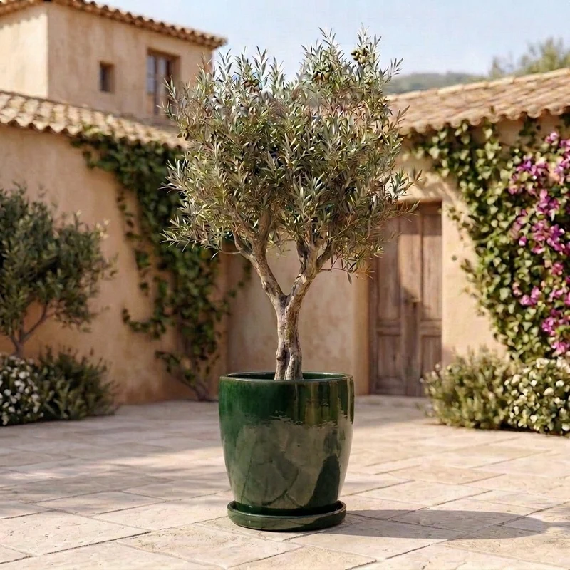 Soucoupe 28cm jade faite à la main en terre cuite émaillée
