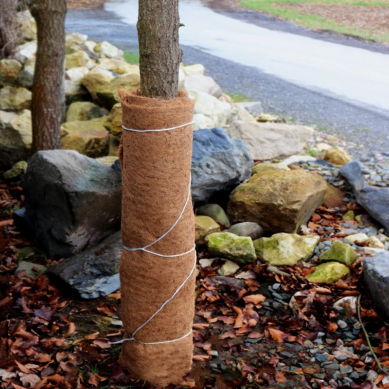 Estera De Coco De 35 M Estera De Protección Para El Invierno Estera De Fibra De Coco 800 G/m² 0,5 M De Ancho