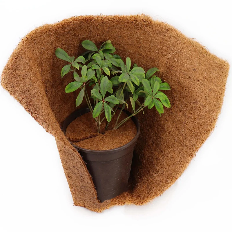 2 Discos Mulching De Coco 60cm Estera De Fibra De Coco Estera Protectora De Plantas De Fibra De Coco Coco