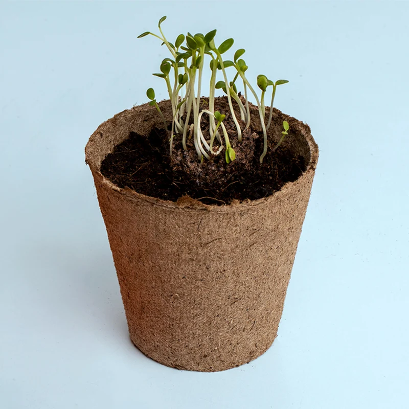 Kit de Cultivo Urban Flowers Rojas Amapola, Lino Rojo y Clavel del Poeta | Semillas para Interior y Exterior - Resetea