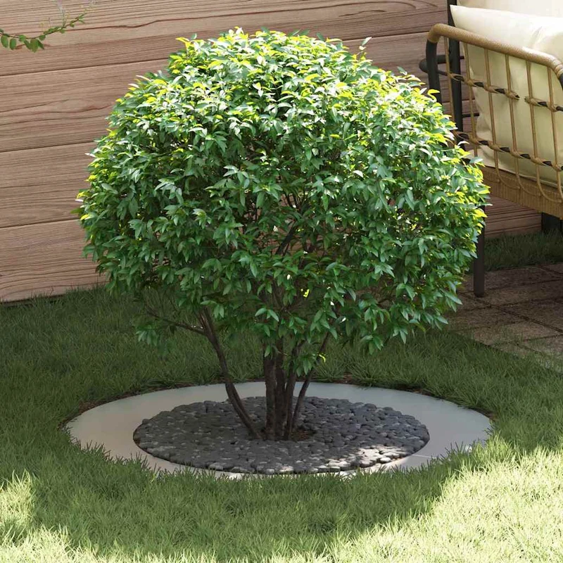 Adecuado Para Anillos De Árbol Plano 5 Uds. Plateado Ø60/90 Cm