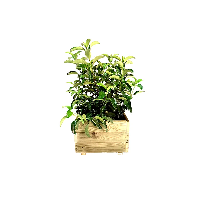Jardineras PUN 60x60x40