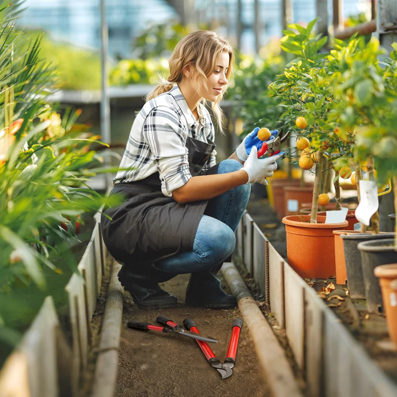 Outsunny Juego de Herramientas para Jardín de 3 Piezas Juego de Herramientas Jardinería con Tijeras de Jardín Cortarramas Tijeras de Podar y Mangos de Goma Antideslizantes Ligera Para Podar Plantas