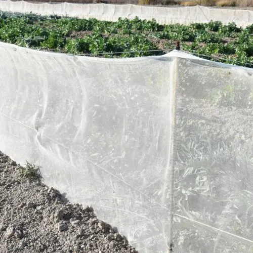 Malla Cortavientos/Anti-Insectos Verde 1x100 metros