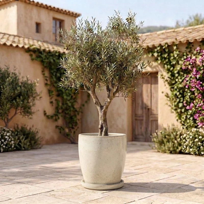 Soucoupe 17cm crème faite à la main en terre cuite émaillée