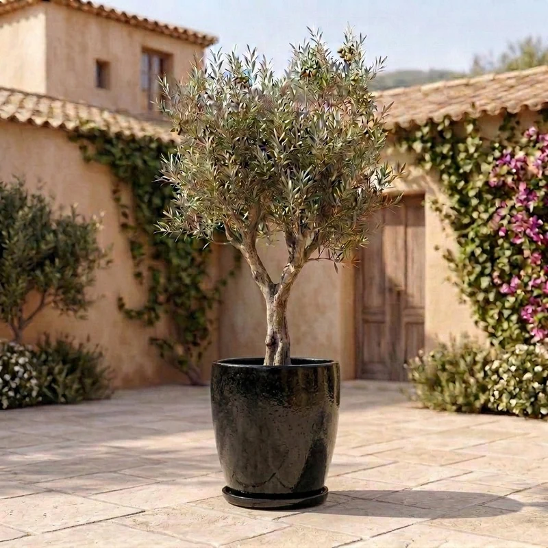 Soucoupe 24cm noir faite à la main en terre cuite émaillée