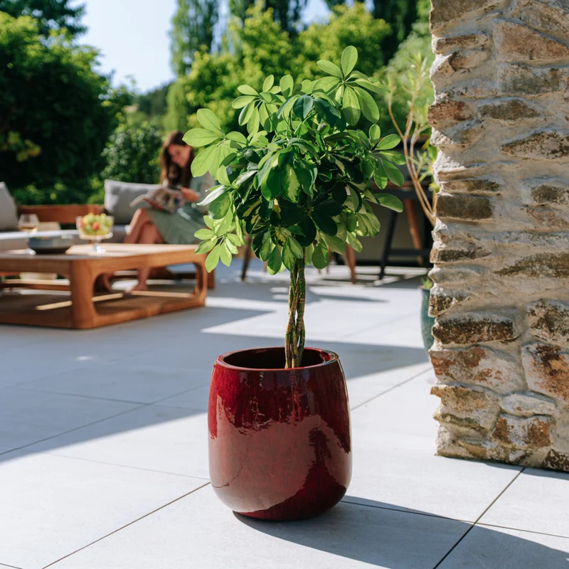 Pot SOCRATE 32x33cm rouge tropical