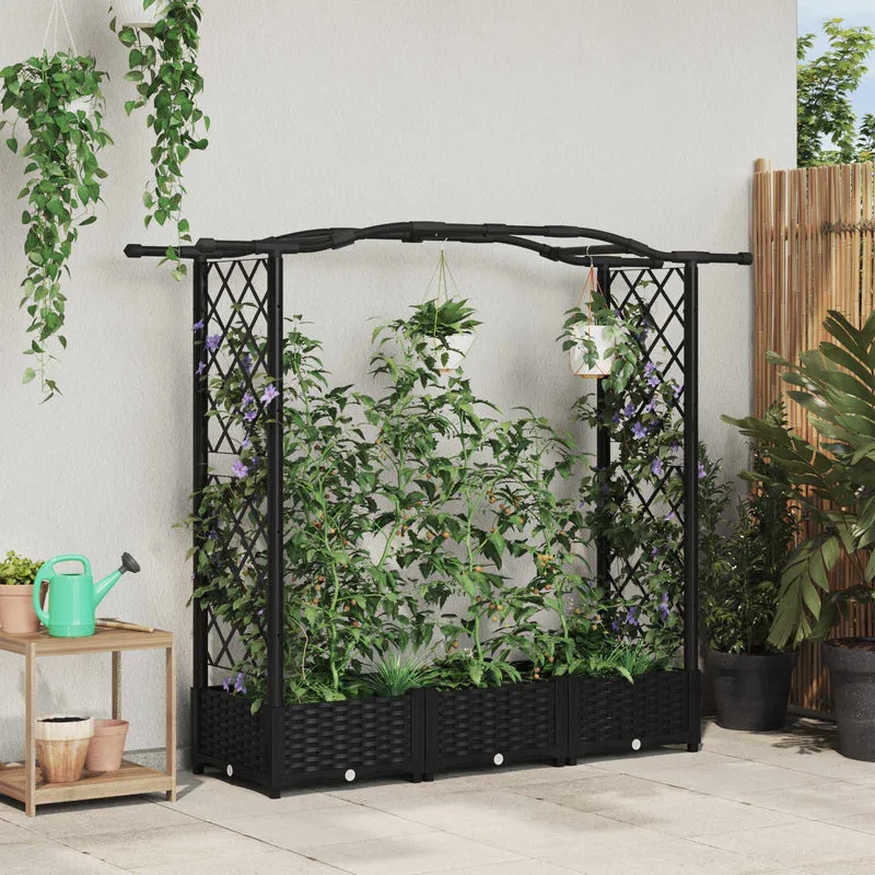 Cama Elevada Con Trellis Y Techo Negro 169 X 40 X 123 Cm Pp