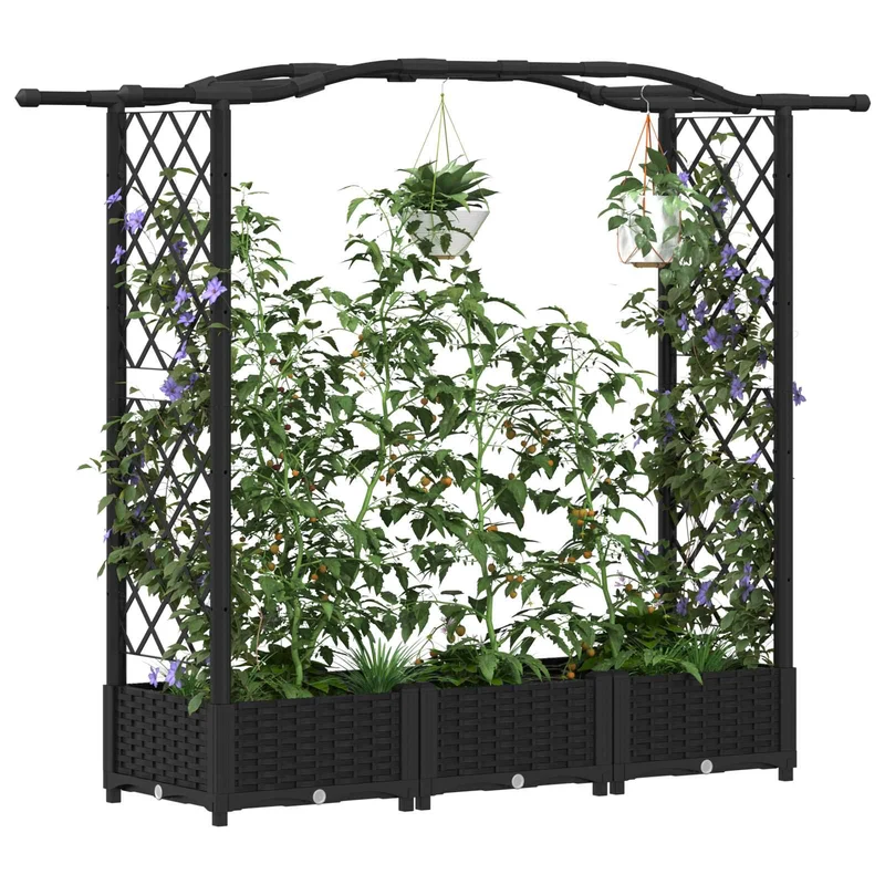 Cama Elevada Con Trellis Y Techo Negro 169 X 40 X 123 Cm Pp