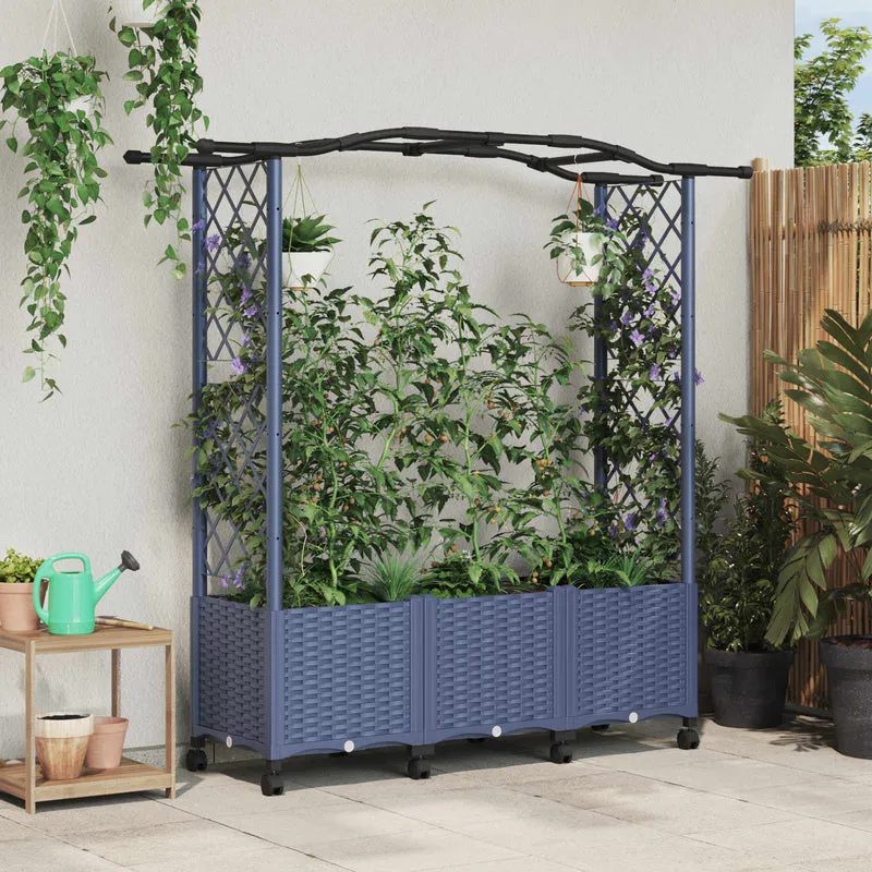 Cama Elevada Con Trellis Y Techo Gris 164 X 40 X 144 Cm Pp