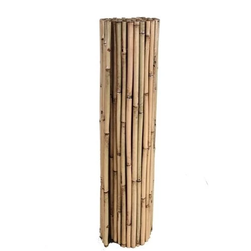 Cañizo Bambú Barnizado Cosido Int. 2x3 M Novedad 2023