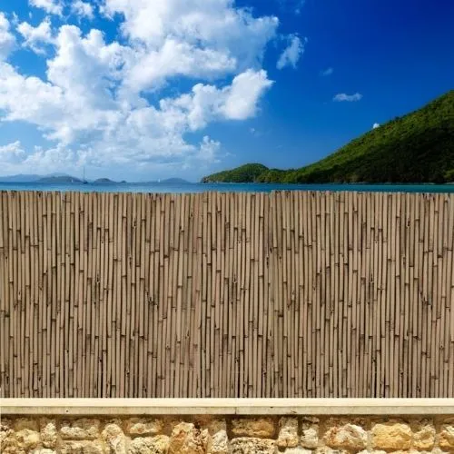 Cañizo Bambú Barnizado Cosido Int. 2x3 M Novedad 2023