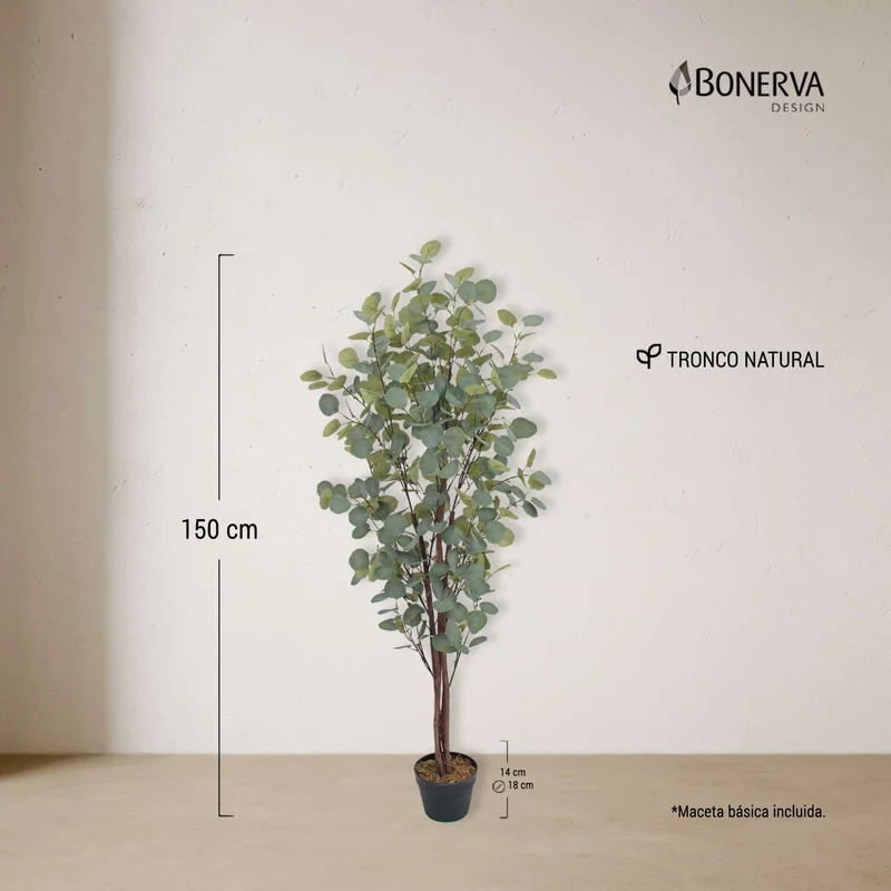 Eucalipto Nature 150