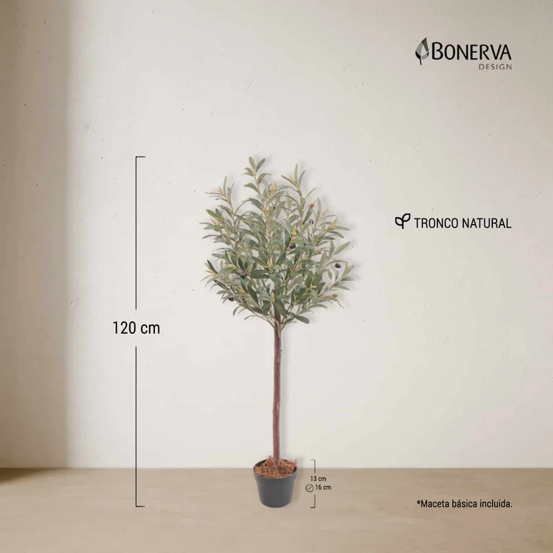 Olivo Nature 120