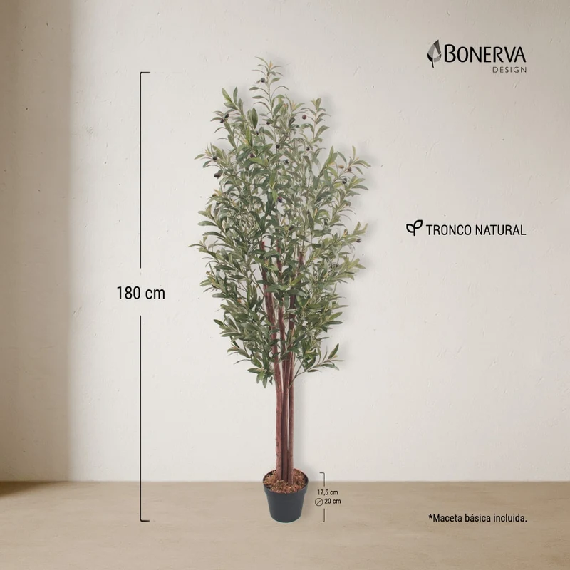 Olivo Nature 180
