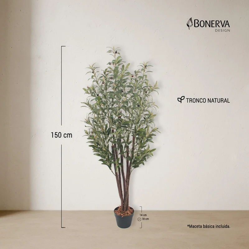 Olivo Nature 150