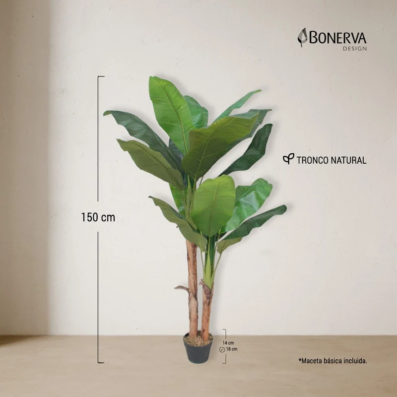 Platanera Nature 150