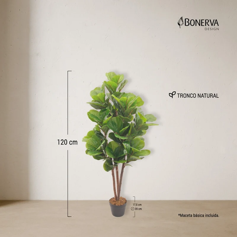 Lira Nature 120