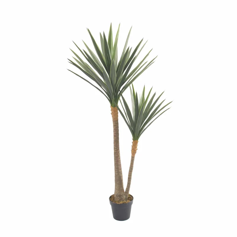 Yuca Deco 150
