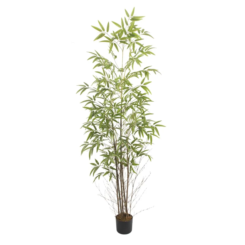 Bambú Nature 210