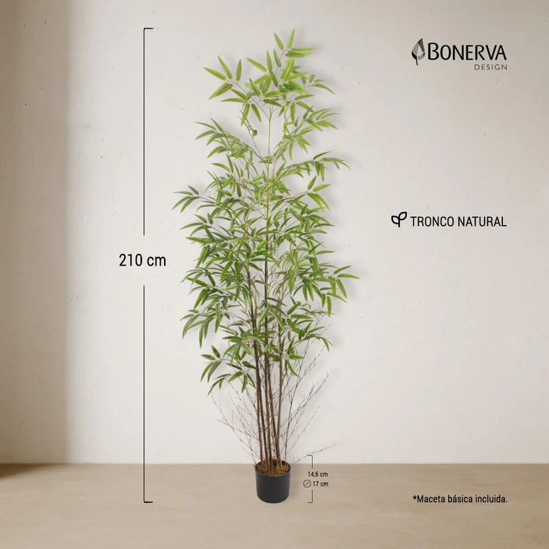 Bambú Nature 210
