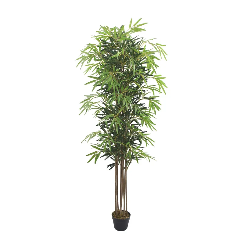 Bambú Nature UV 180
