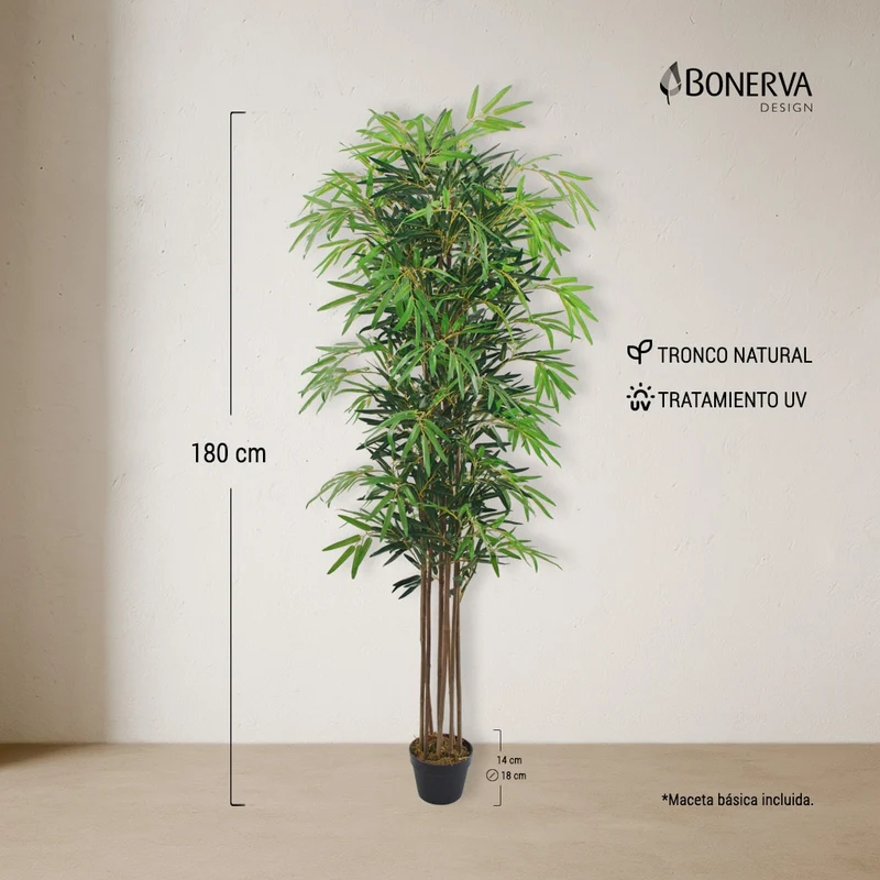 Bambú Nature UV 180